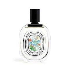 Summer Ilio Limited Edition