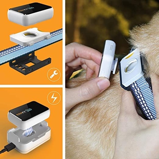 GPS Dog Tracker 2