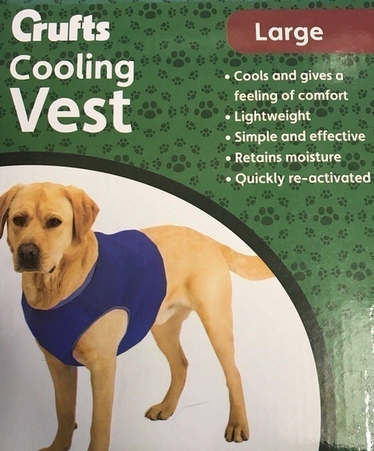 Cooling Vest 2