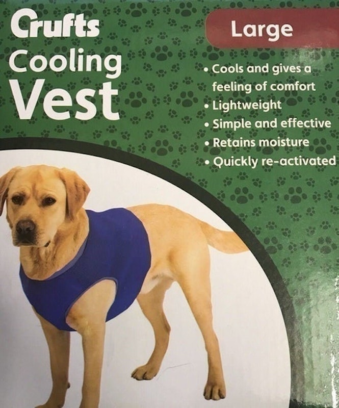 Cooling Vest 2