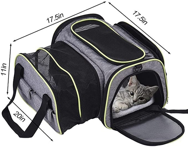 Pet Carrier 2