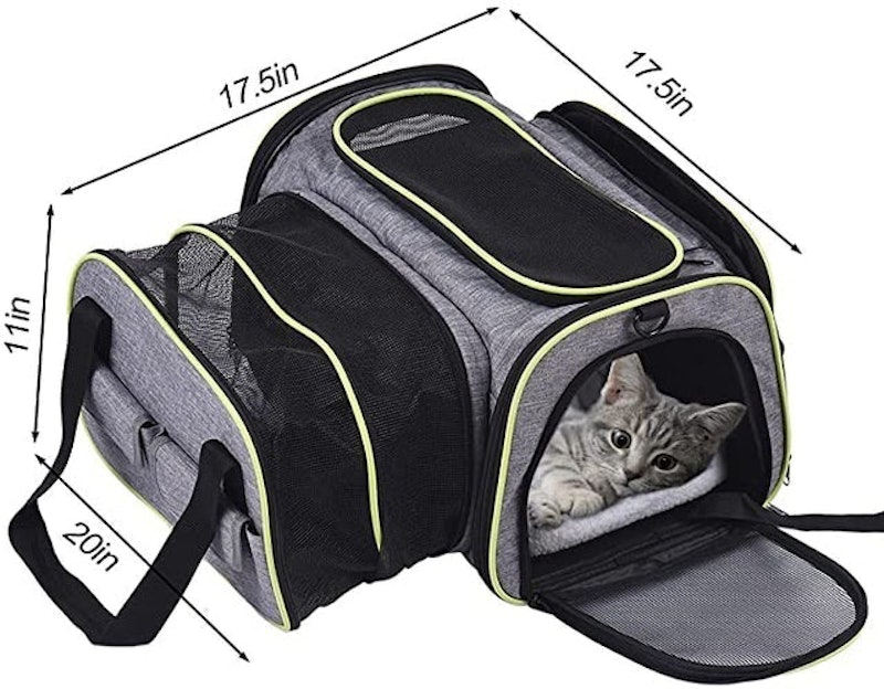 Pet Carrier 2