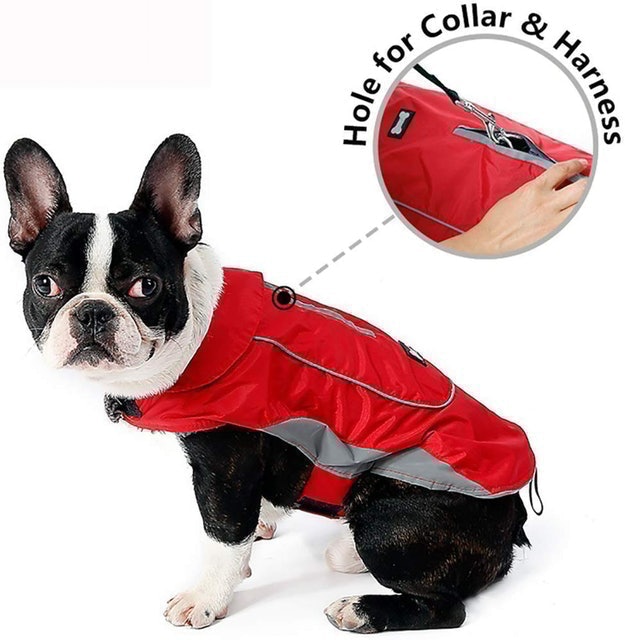 Premium Sport Waterproof Dog Jacket 2