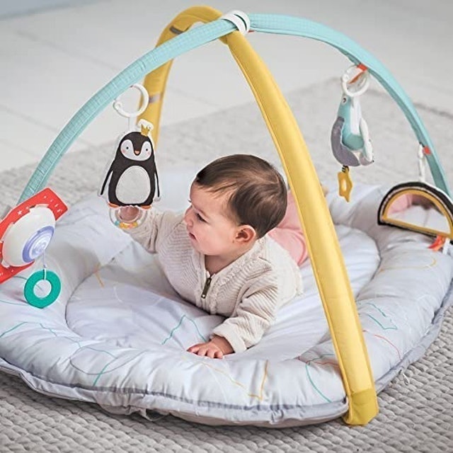 Musical Newborn Cosy Gym 2