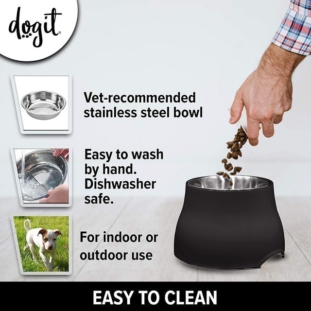 2-in-1 Elevated Dish/Bowl 3
