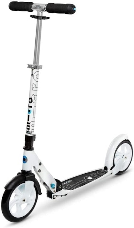 Adult Scooter 1