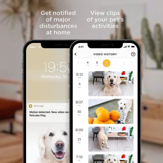 Treat Dispenser & Pet Camera 4
