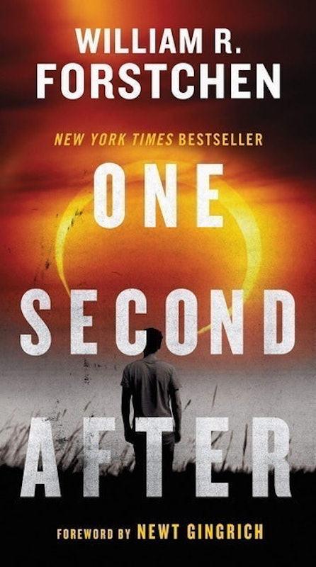 One Second After 1