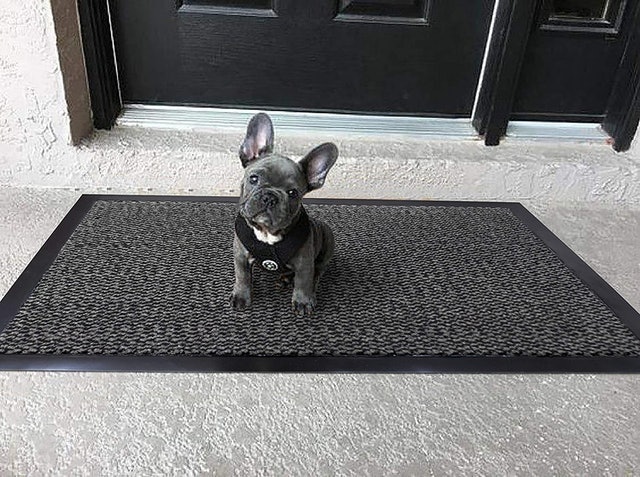  Heavy Duty Door Mat 1