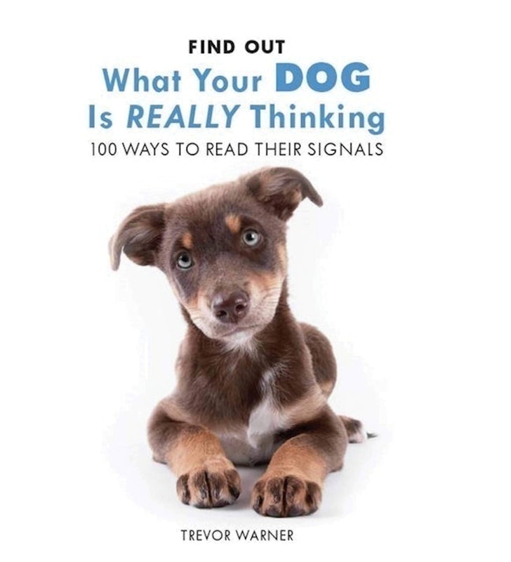What Your Dog is Really Thinking 1