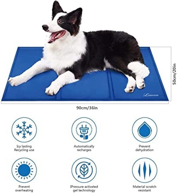 Dog Cool Bed 2