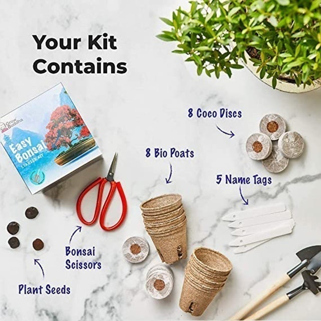 8 Easy Bonsai Starter Kit 3