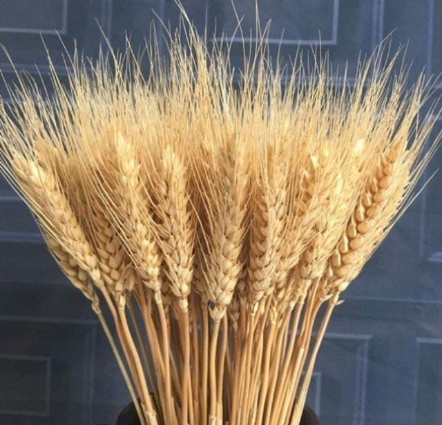 Natural Dried Wheat Sheaves 2