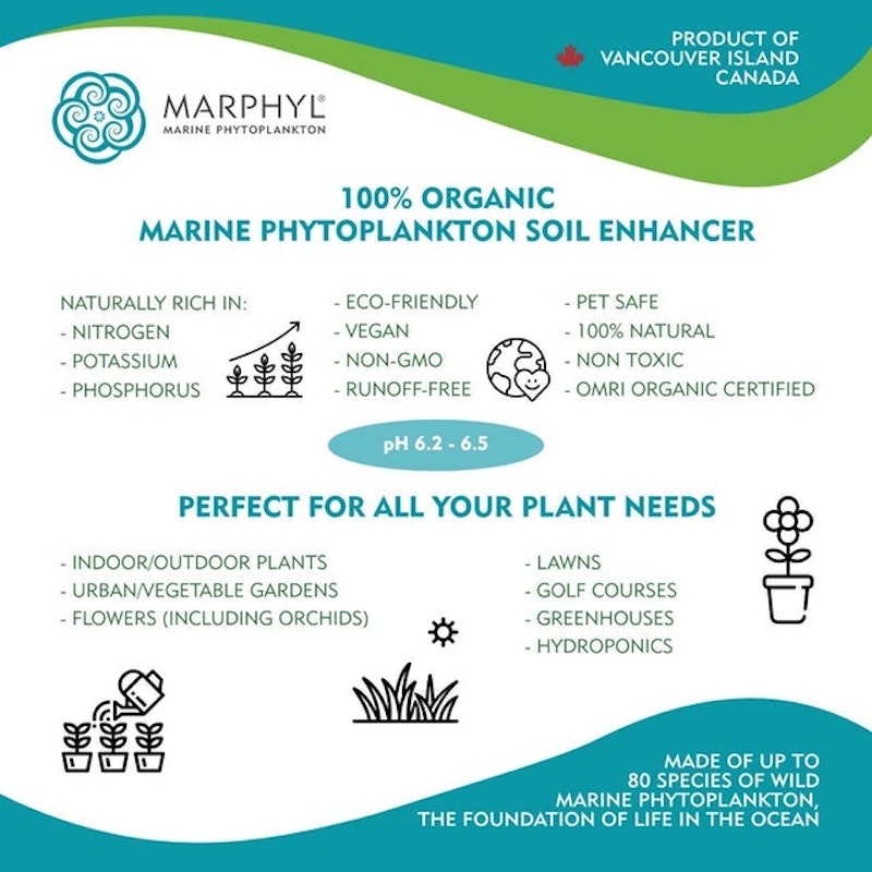 Marine Phytoplankton 2