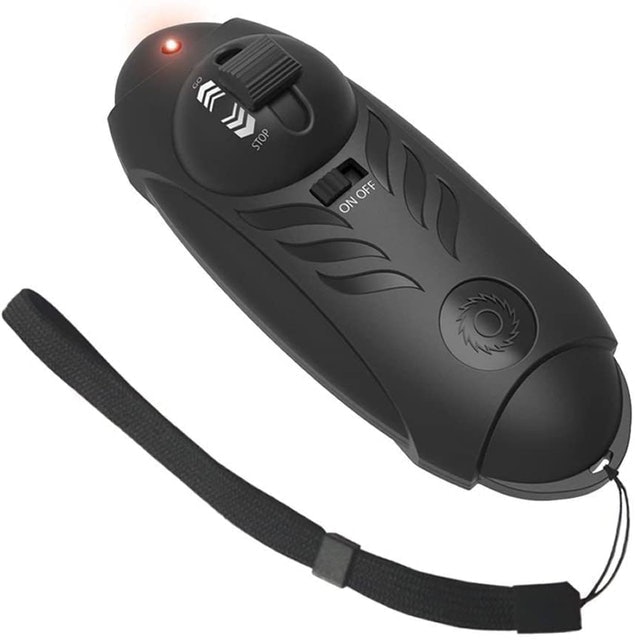 Cruiser Electric Skate Board 3