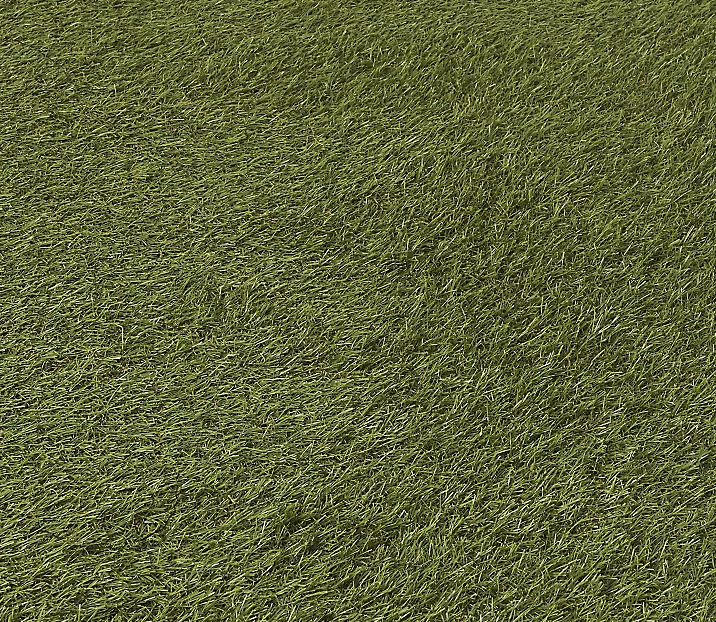 Dennis Artificial Grass 2