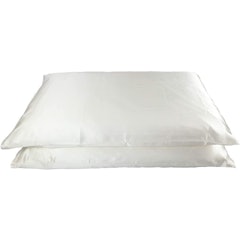 Pair of Mulberry Silk Pillowcases