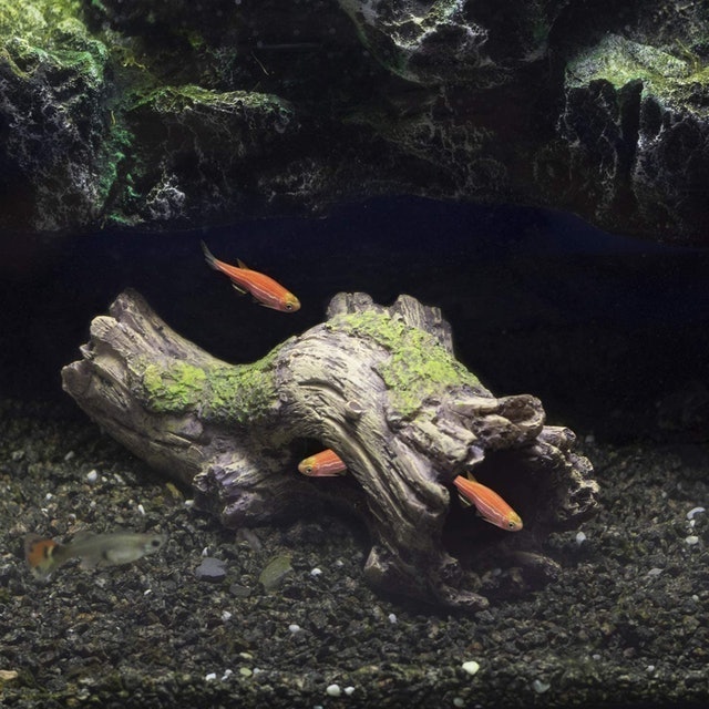Aquarium Decoration Tree Trunk 2