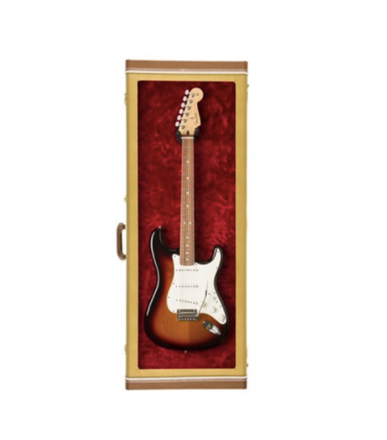 Guitar Display Case 2