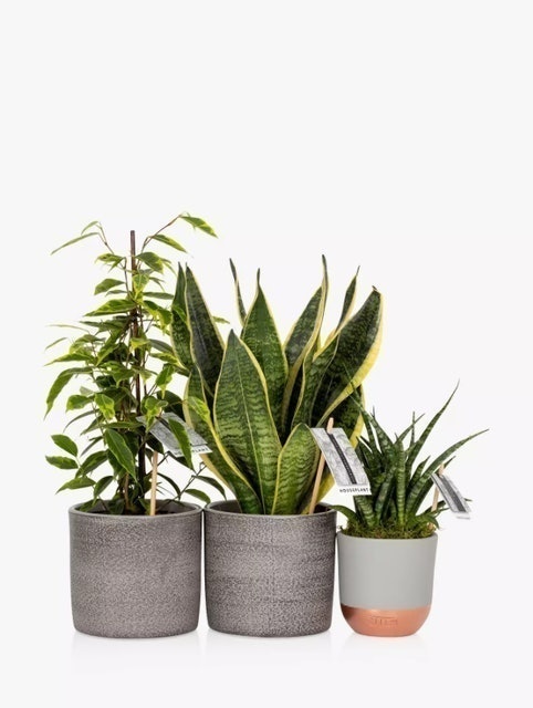 10 Best Housewarming Gifts UK | Taittinger LSA and More 3