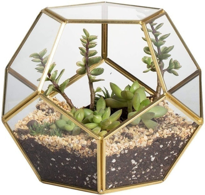 Pentagon Geometric Terrarium 2