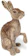 The Crafty Kit Company Wild Scottish Hare Needle Felting Kit 1