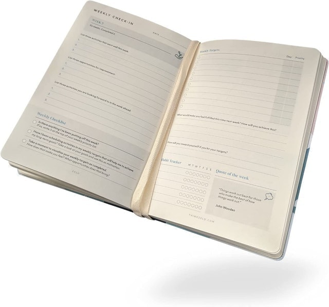 The Paper Trainer 1