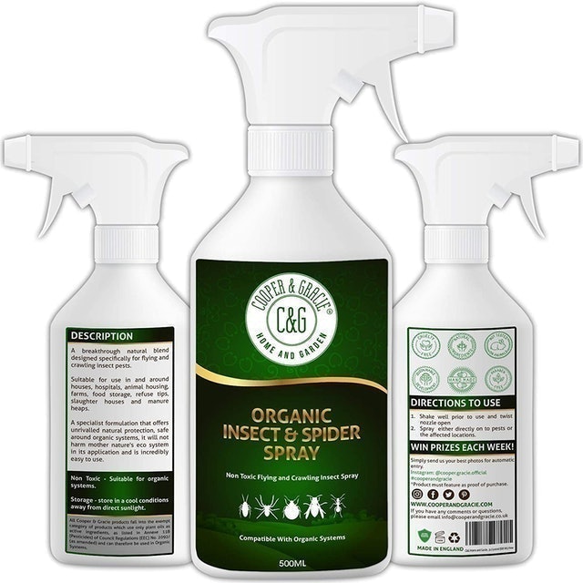 Organic Insect & Spider Spray 1