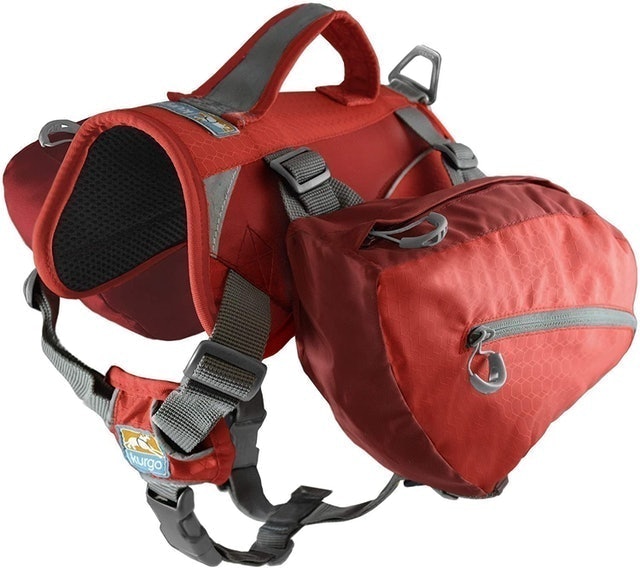10 Best Saddlebags for Dogs UK 2024 | Ruffwear, Kurgo and More) 5
