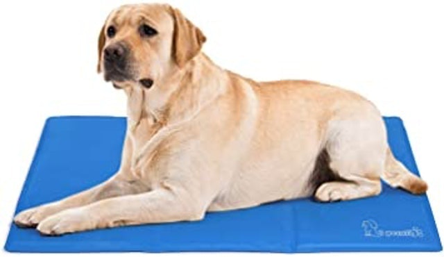 10 Best Dog Cooling Mats UK 2024 5