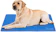 Pecute Dog Cooling Mat 1