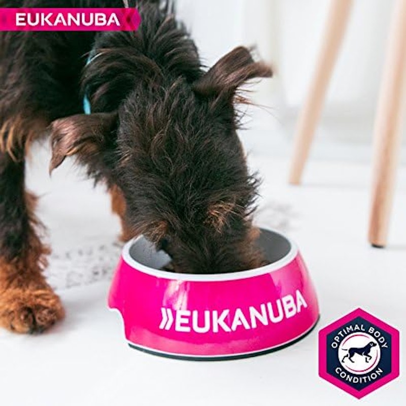 Eukanuba Complete Dry Dog Food for Senior Medium Breeds with Fresh Chicken 5