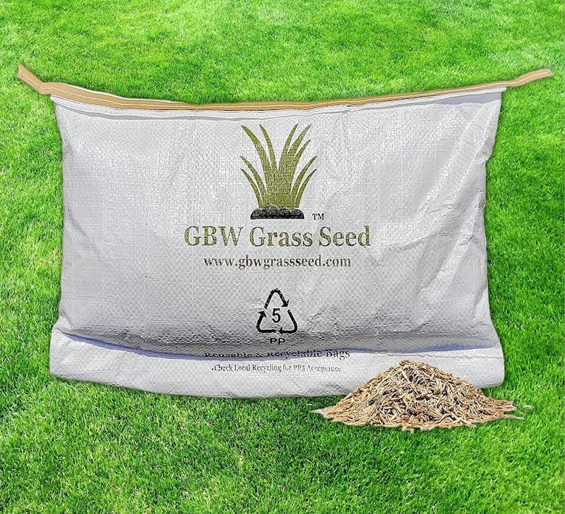 Grass Seed 1