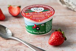 Organic Strawberry Yogurt 3