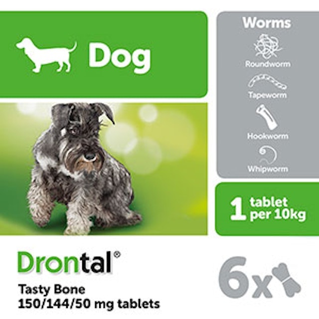 RS Pet Bayer Drontal Worming Tablet for Dogs 4