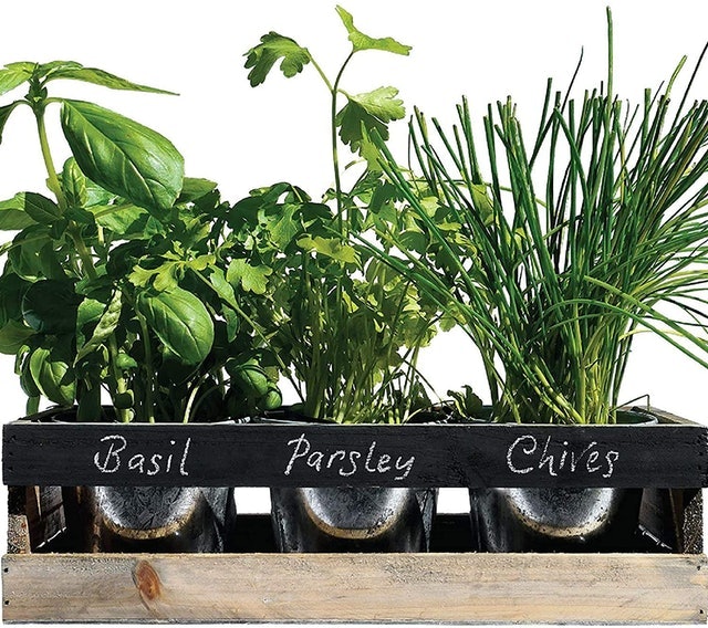 DIY Indoor Herb Garden Kit 1