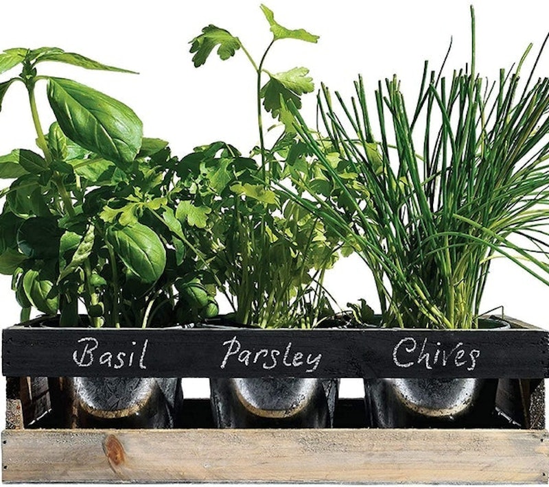 DIY Indoor Herb Garden Kit 1