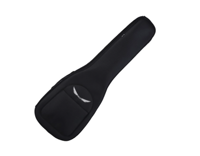 Deluxe Gig Bag 1