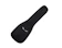 Dean Deluxe Gig Bag 1