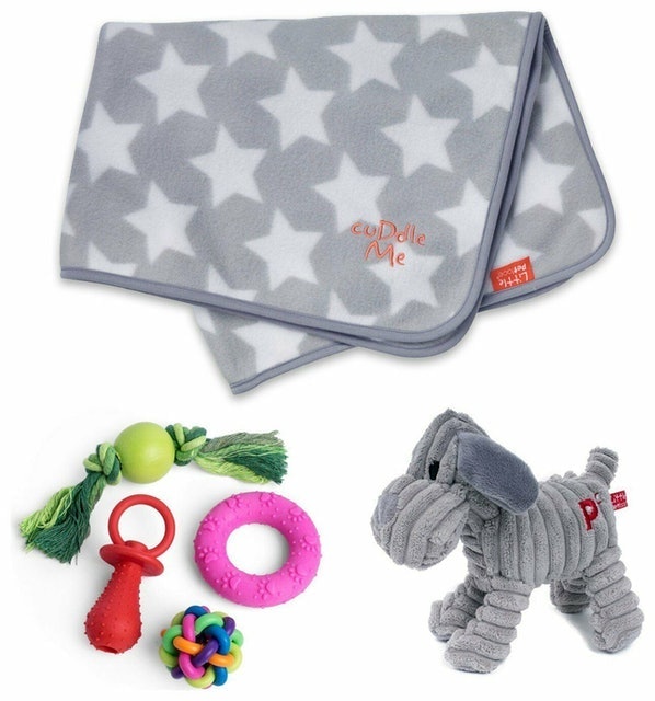 10 Best Dog Toys 2024 | UK Veterinarian Reviewed 3