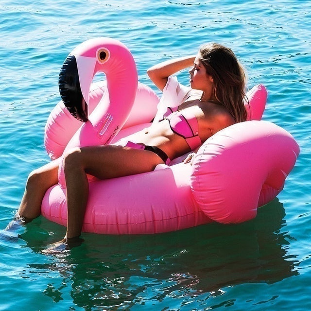 Flamingo Pool Float 2