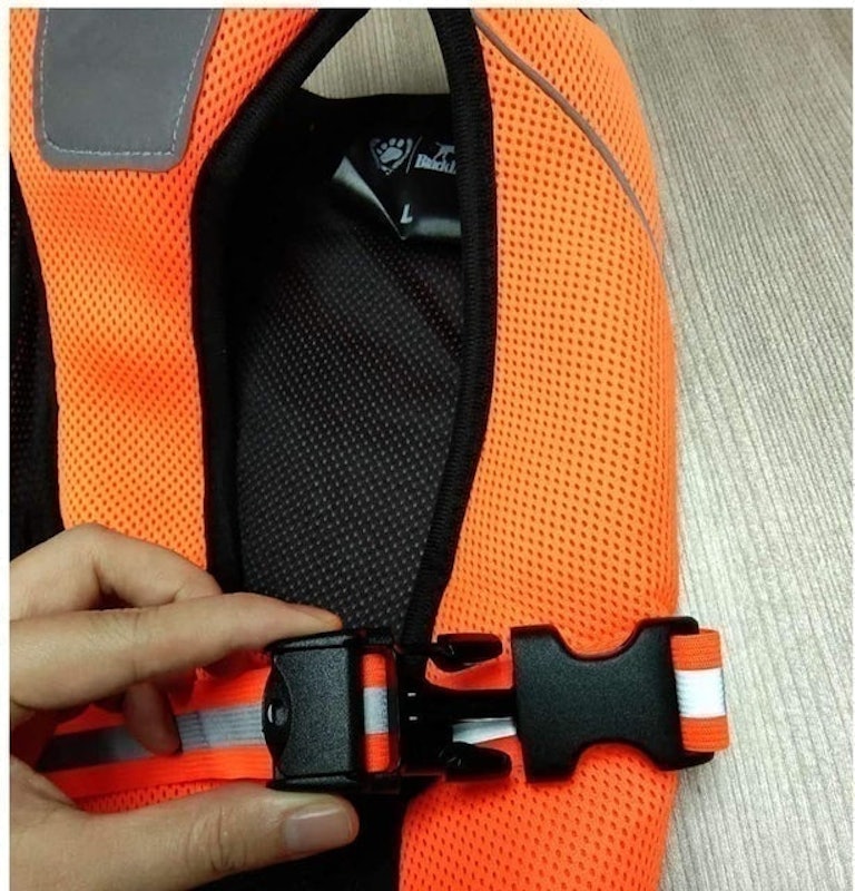 Dog Cooling Vest 2