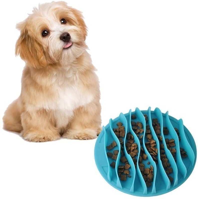 Slow Feeder Dog Bowl 1