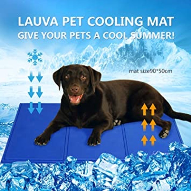 Dog Cool Bed 1