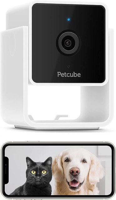 Pet Camera 1