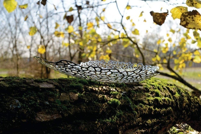 Opus Ornamental Dish Centrepiece 2