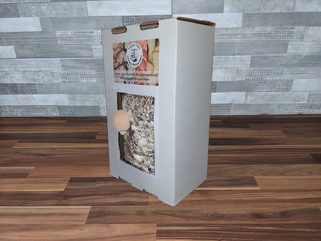 Lions Mane Mushroom Growing Kit 3