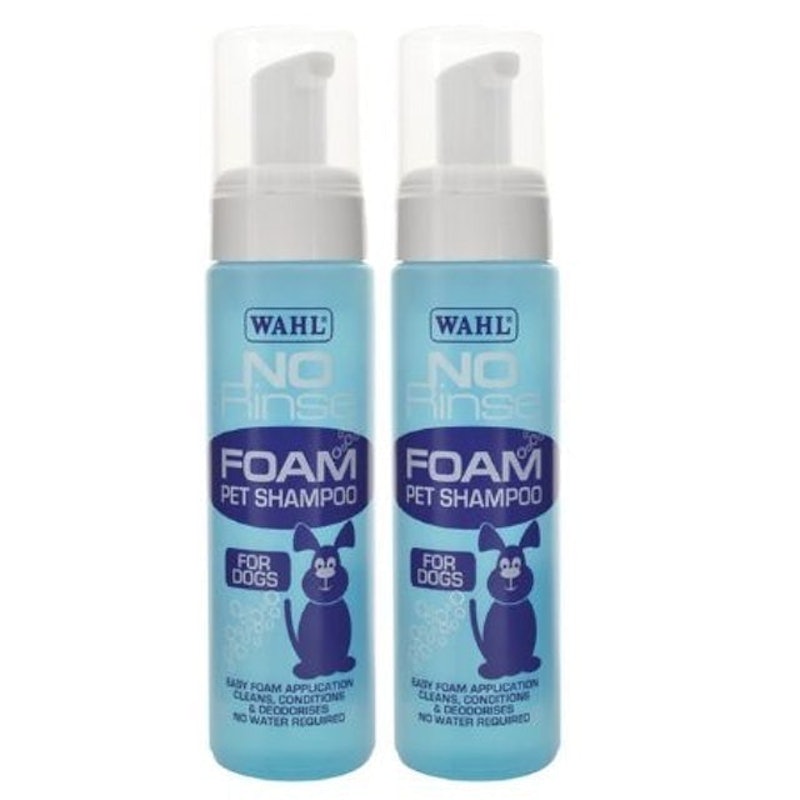 No Rinse Foam Dry Shampoo 1