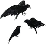 10 Best Halloween Decorations UK 2024 | John Lewis, Argos Home and More 3