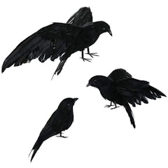 Pack of 3 Black Halloween Crows